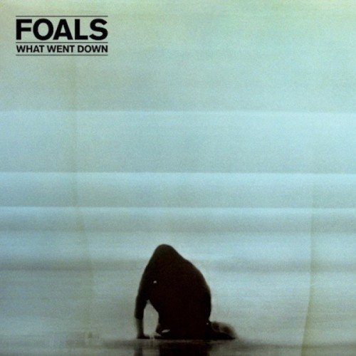Foals - What Went Down (2015)