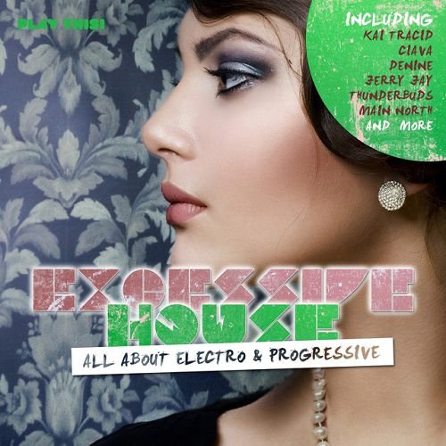 VA - Excessive House: All About Electro and Progressive (2016)