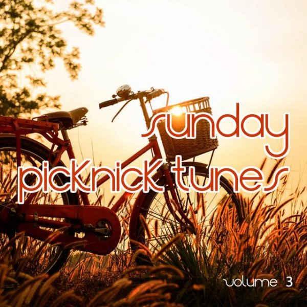 VA - Sunday Picknick Tunes, Vol. 3 (Smooth Weekend Music)(2016)