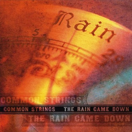 Common Strings - The Rain Came Down (2007)