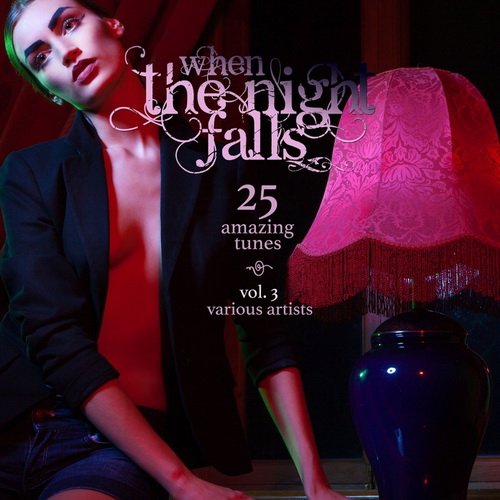 VA - When the Night Falls (25 Amazing Tunes), Vol. 3 (2016)