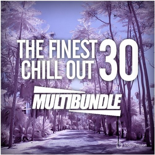 The Finest 30 Chill Out Multibundle (2016)