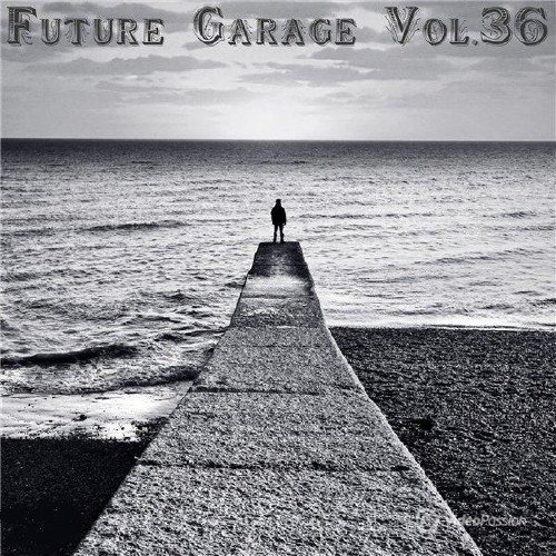 Future Garage Vol. 36 (2016)