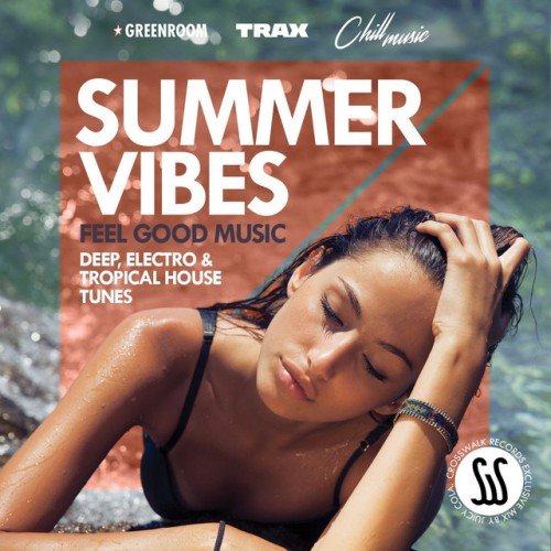 VA - Summer Vibes: Feel Good Music, Deep Electro and Tropical House Tunes (2016)