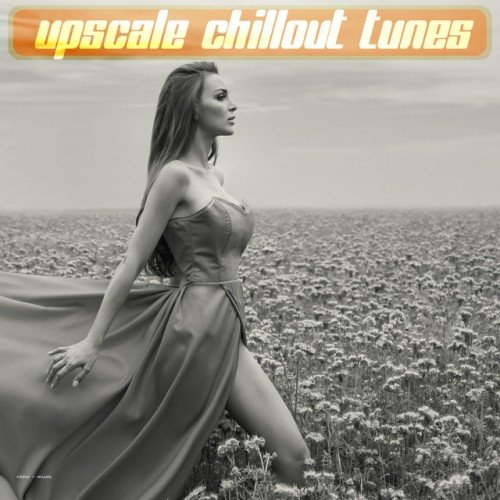 VA - Upscale Chillout Tunes (2016)