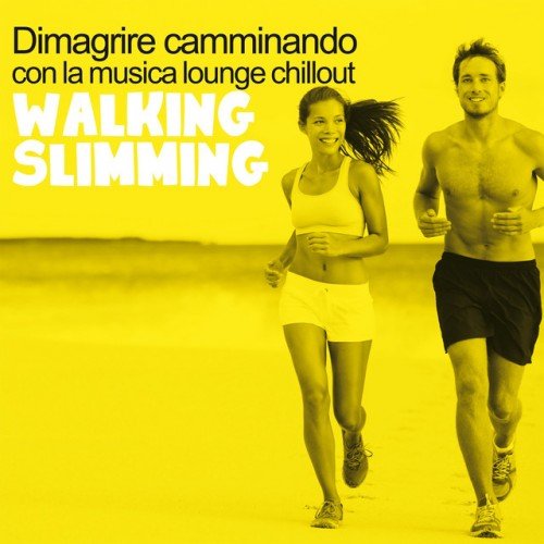 VA - Walking Slimming: Dimagrire camminando con la musica lounge chillout (2016)