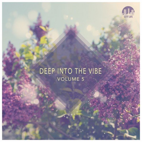 VA - Deep into the Vibe Vol.5 (2016)