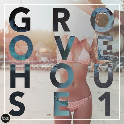 VA - Groove House 1 (2016)