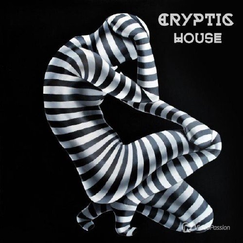 Cryptic House (2016)
