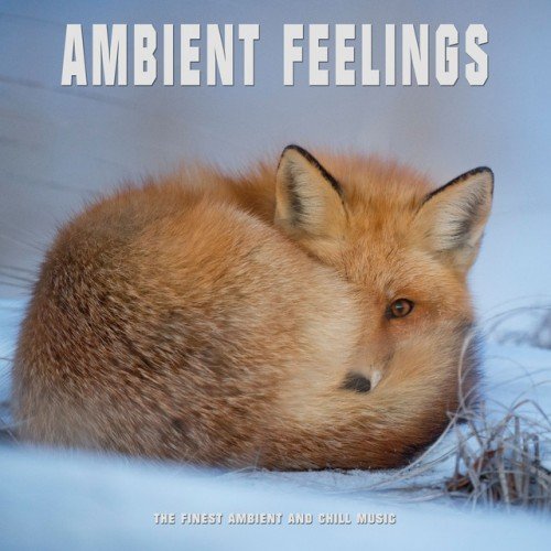 VA - Ambient Feelings: The Finest Ambient and Chill Music (2016)