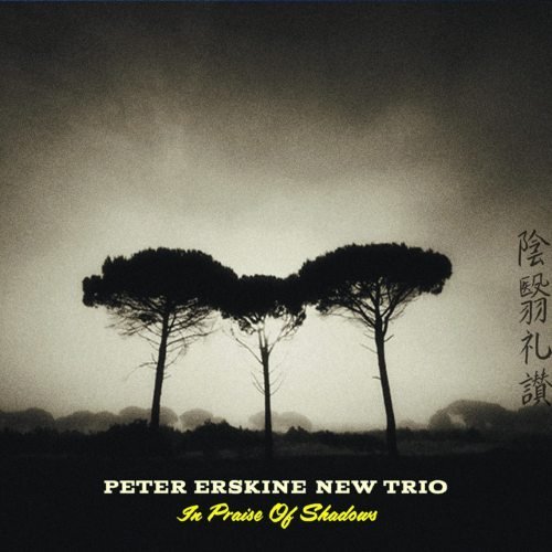 Peter Erskine New Trio – In Praise of Shadows (2017)