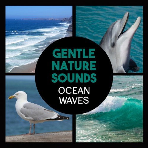 VA - Gentle Nature Sounds: Ocean Waves Calming Music for Relaxation Healing Waters (2017)