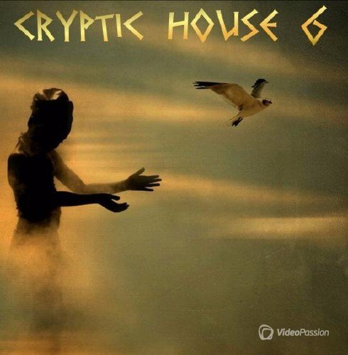 VA - Cryptic House 6 (2017)