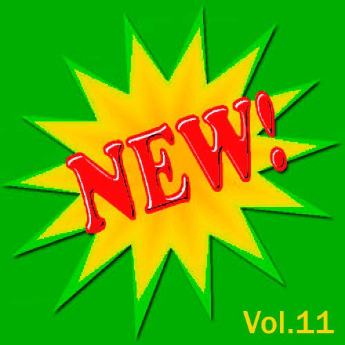 VA-NEW! Vol.11 (2020)